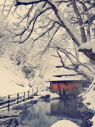 Tokyo's Nearby Hidden Gem: Takaragawa Onsen Osenkaku