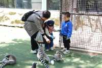 懶人式湊仔好去處——紫清湖旅遊區