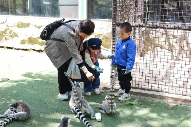 懶人式湊仔好去處——紫清湖旅遊區 懶人式湊仔好去處——紫清湖旅遊區