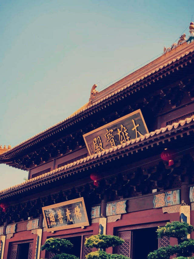 深圳弘法寺｜尋覓心靈淨土的奇幻之旅