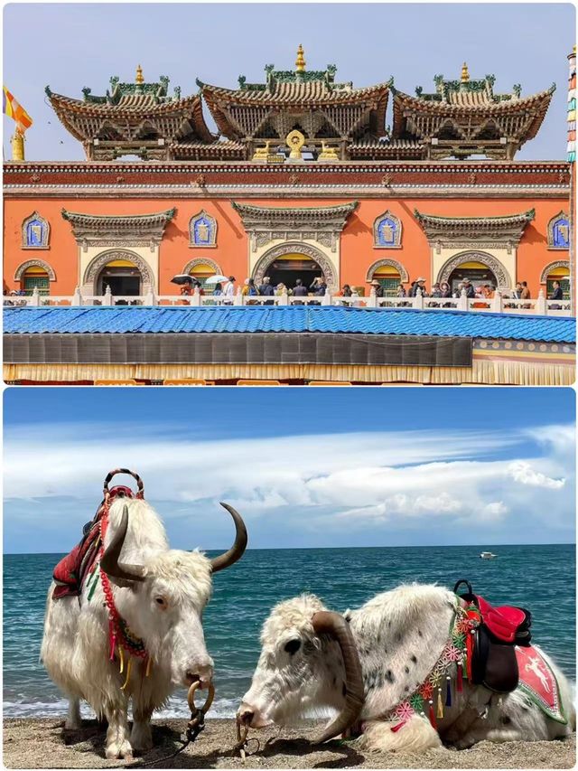 西寧受罪已回，要去的姊妹慎重