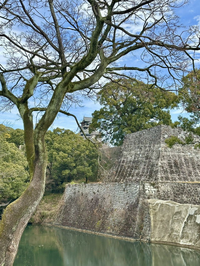 Towering Kumamoto Castle 🇯🇵🏯