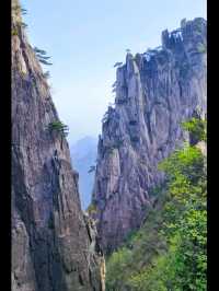 Majestic Huangshan on May Holiday 2025