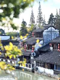 上海｜朱家角，藏身繁華都市旁嘅一抹清新