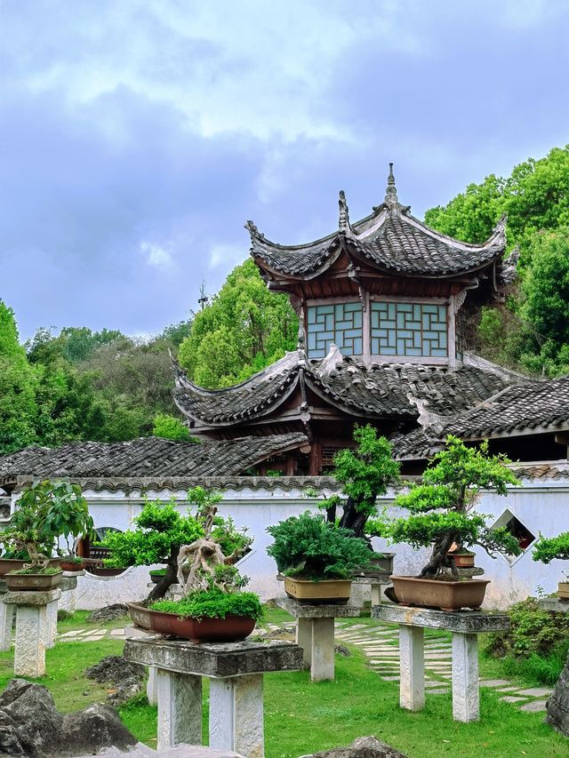 別錯過盆景園！黃果樹大瀑布景區裡的一個小驚喜
