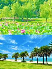 廈門嘅浪漫，海佔一半！