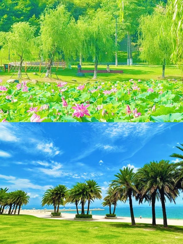 廈門嘅浪漫，海佔一半！