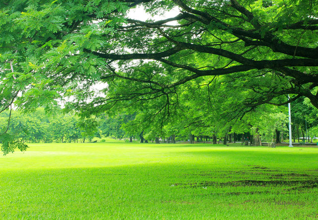廣州週末去邊度玩？呢8個免費公園，快啲安排！