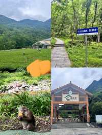 高鐵直達適合小住三日嘅小眾城市