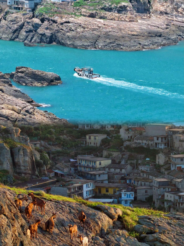 台山列島旅遊攻略 | 闖入海上世外桃源