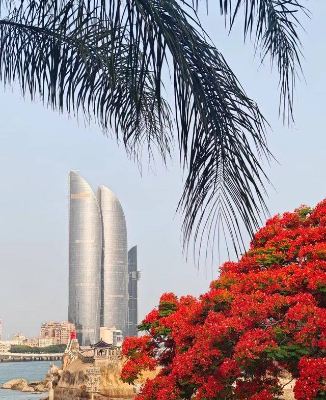景點漫遊：將浪漫焊在廈門
