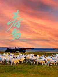 春分｜錫林郭勒的春天每一幀都美到犯規！