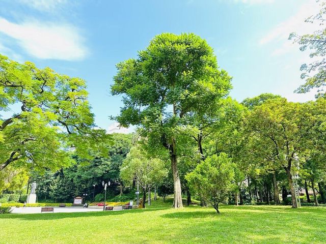 打工人週末旅行第93站福建 漳州