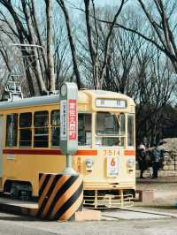 時代を超える旅：江戸東京たてもの園で昔を感じる】**  