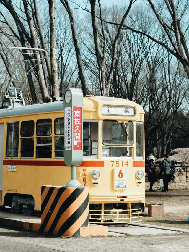 時代を超える旅：江戸東京たてもの園で昔を感じる】**  