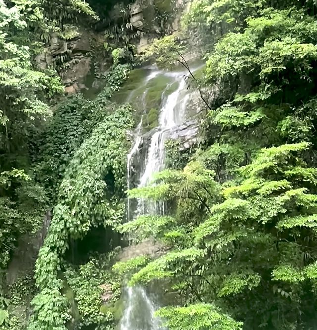 救命！仙女山嘅天氣真係魔幻到爆，我差啲凍到喊出嚟