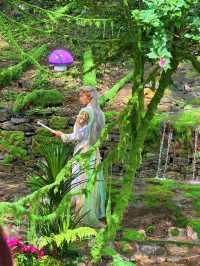 臨沂25℃幻夏秘境！躲進森林當仙女