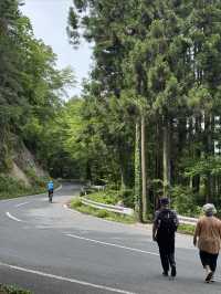舊中山道｜馬籠宿-妻籠宿-南木曾（附攻略）