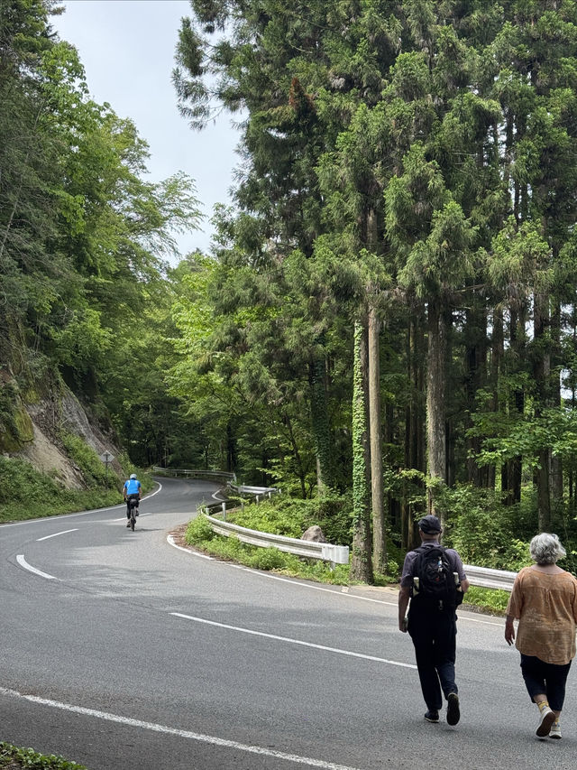 舊中山道｜馬籠宿-妻籠宿-南木曾（附攻略）