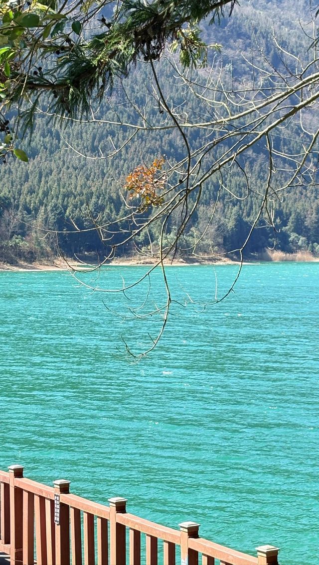避暑嘅寶藏聖地，畀我搵到啦
