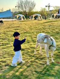 漳州溪山年華樂園："樂園幻境"