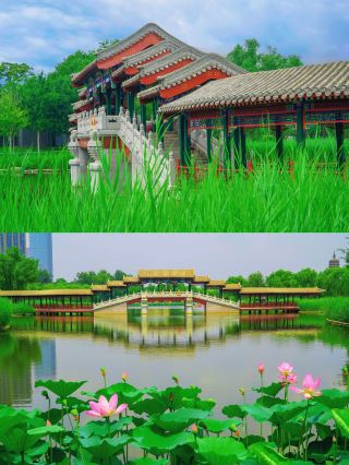 Millennial Canal Charm, Enchanting Tongzhou Journey – A Rendezvous with the Poetry and Bustle of Beijing's Sub-Center