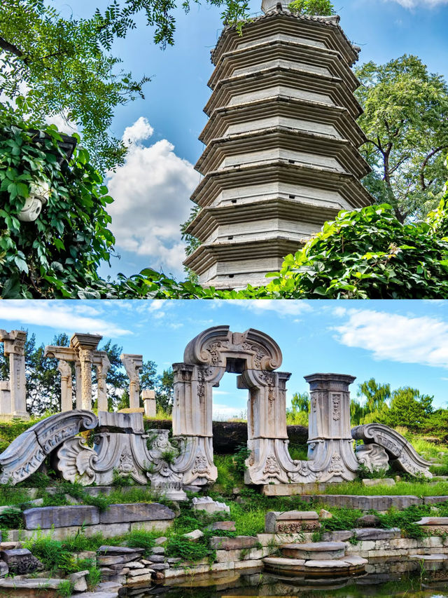 北京已返，我只想講真話