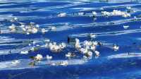 瀘沽湖之旅歸來，真心建議未出發嘅姊妹們