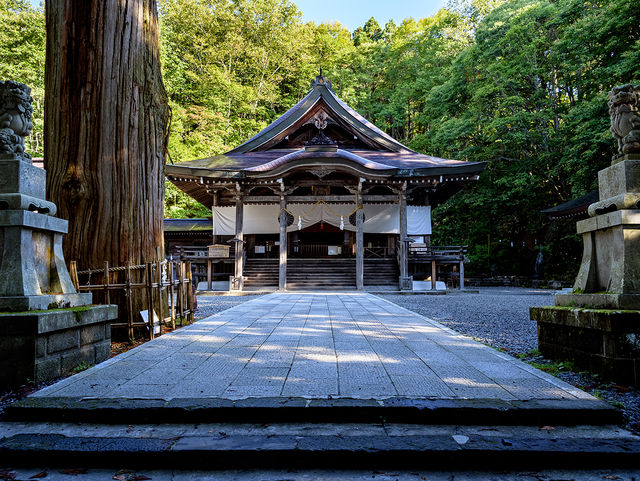 戶隱神社：神域之森嘅詩意棲居