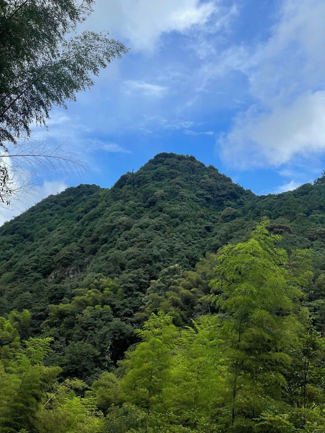 親子玩水秘境！上王崗溯溪免繞路攻略