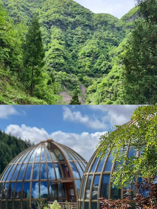 闖入20℃仙境，中國涼都，避暑全攻略