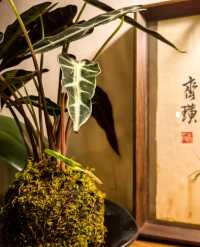 隱藏喺社區入面嘅咖啡館一秒穿越80 90年代