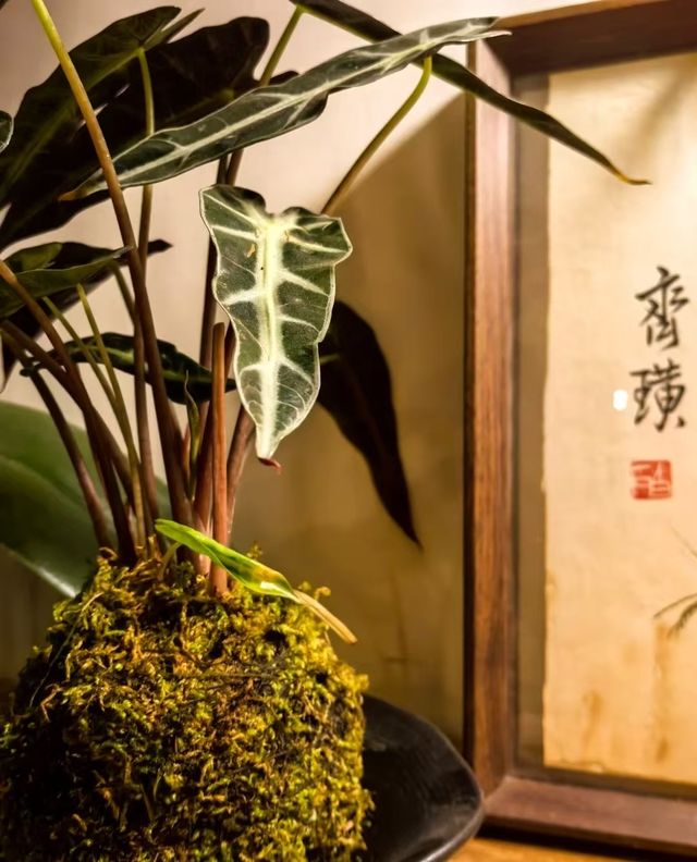 隱藏喺社區入面嘅咖啡館一秒穿越80 90年代