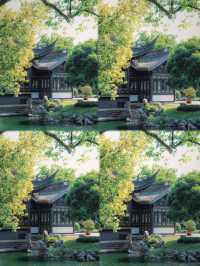 寧波火車站旁嘅隱藏王者月湖公園5A級美貌暴擊