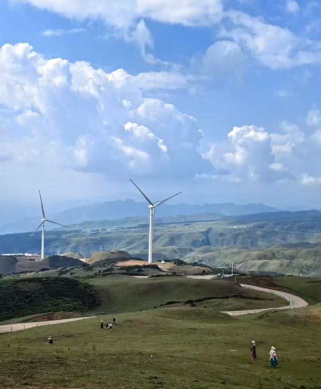 19℃的雲端秘境！六盤水4天3晚深度遊：草原佛光、火把狂歡、峽谷奇觀全收錄！ 北緯26°的天然