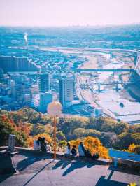 大阪秘境！池田五月山──都市綠洲中的櫻花隧道與茶香古道】**  