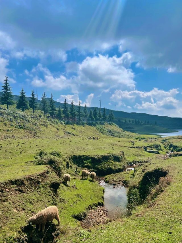 貴州六盤水吹來的風係19℃