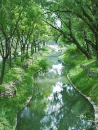 喺北京一個唔小心跌入初夏嘅綠野仙蹤
