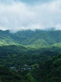 踏入鹿亭中村，恍如走進一幅徐徐展開嘅山水長卷。