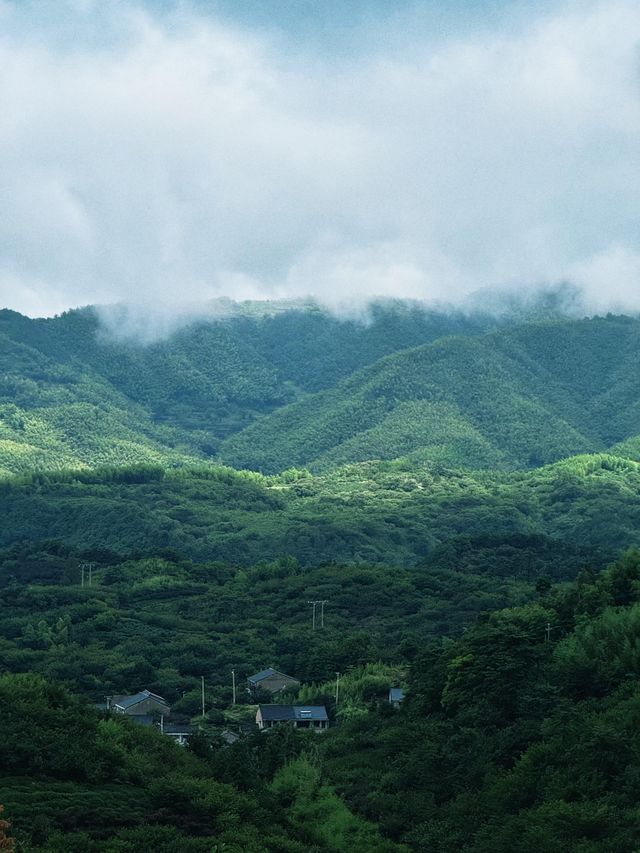 踏入鹿亭中村，恍如走進一幅徐徐展開嘅山水長卷。