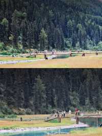 【理小路】80km穿越川西秘境！理縣到小金縣，將畢棚溝+四姑娘山嘅精華裝進袋   一、點解係理小