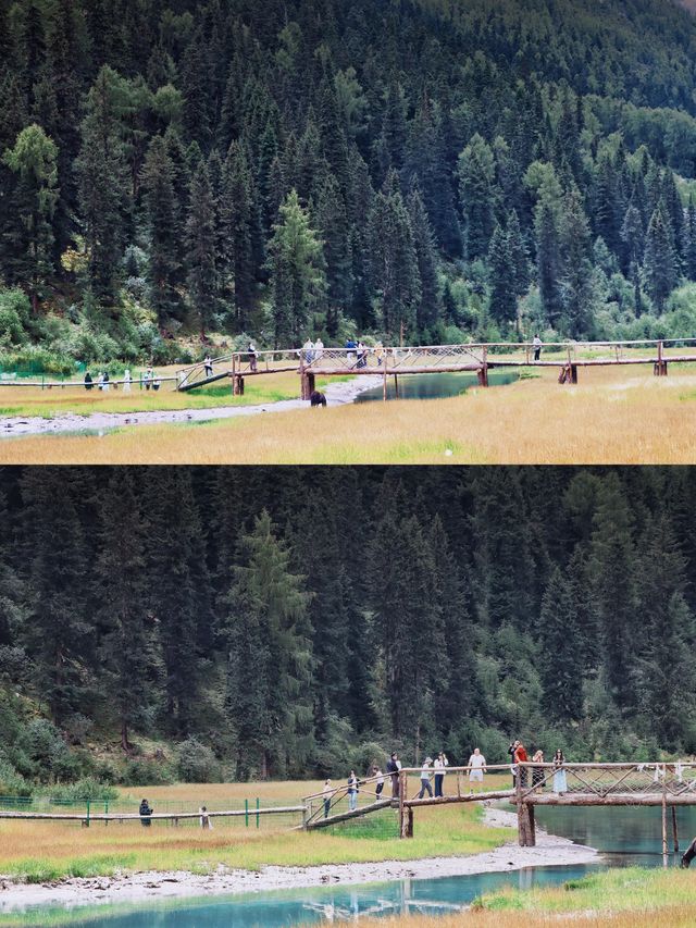 【理小路】80km穿越川西秘境！理縣到小金縣，將畢棚溝+四姑娘山嘅精華裝進袋   一、點解係理小