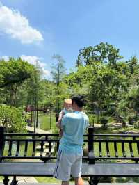 週末佛山遛娃好去處