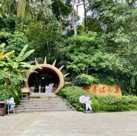【中国 雲南省】🌿基诺山寨で雲南の少数民族文化を体験