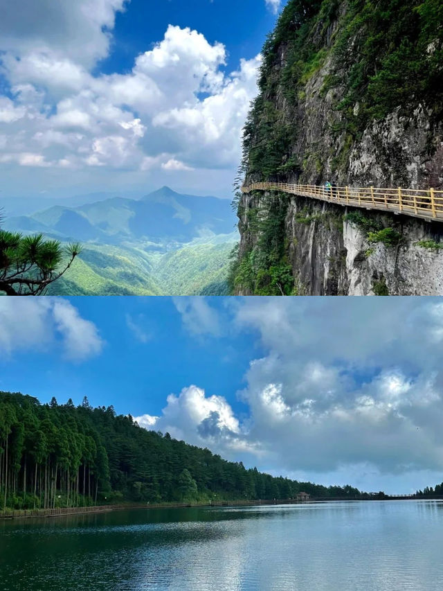 明月山的滿格綠意 明月山的滿格綠意