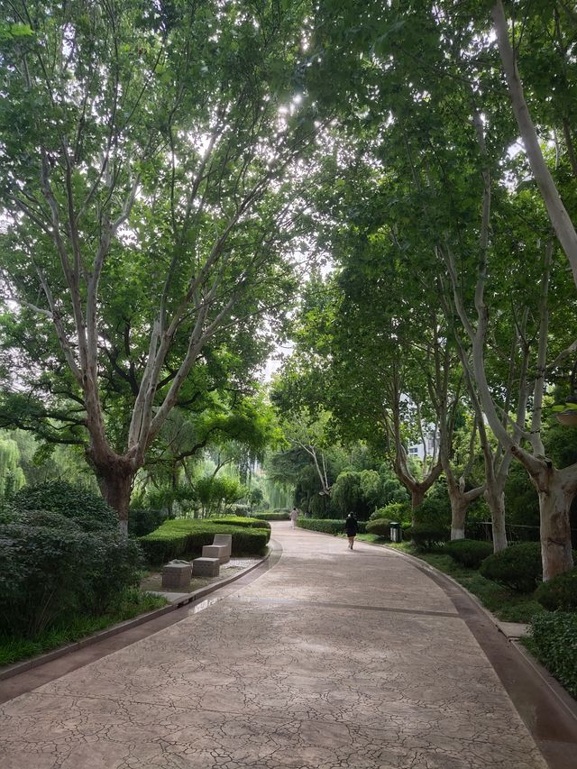 張面河畔私藏美景