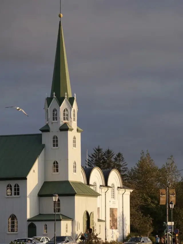 Iceland Aurora Hunting Guide