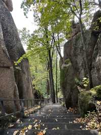長白山紅石峯生態風景區紅楓染紅了峯頂