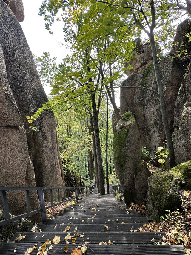 長白山紅石峯生態風景區紅楓染紅了峯頂
