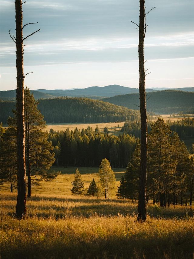 實錘了！阿爾山秋日自駕攻略，一路都是風景，免費觀景台超讚